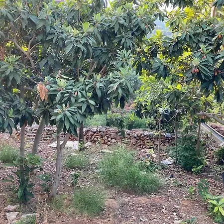 Denize Karşı,teraslı,doğada,müstakil Ayarında Ev